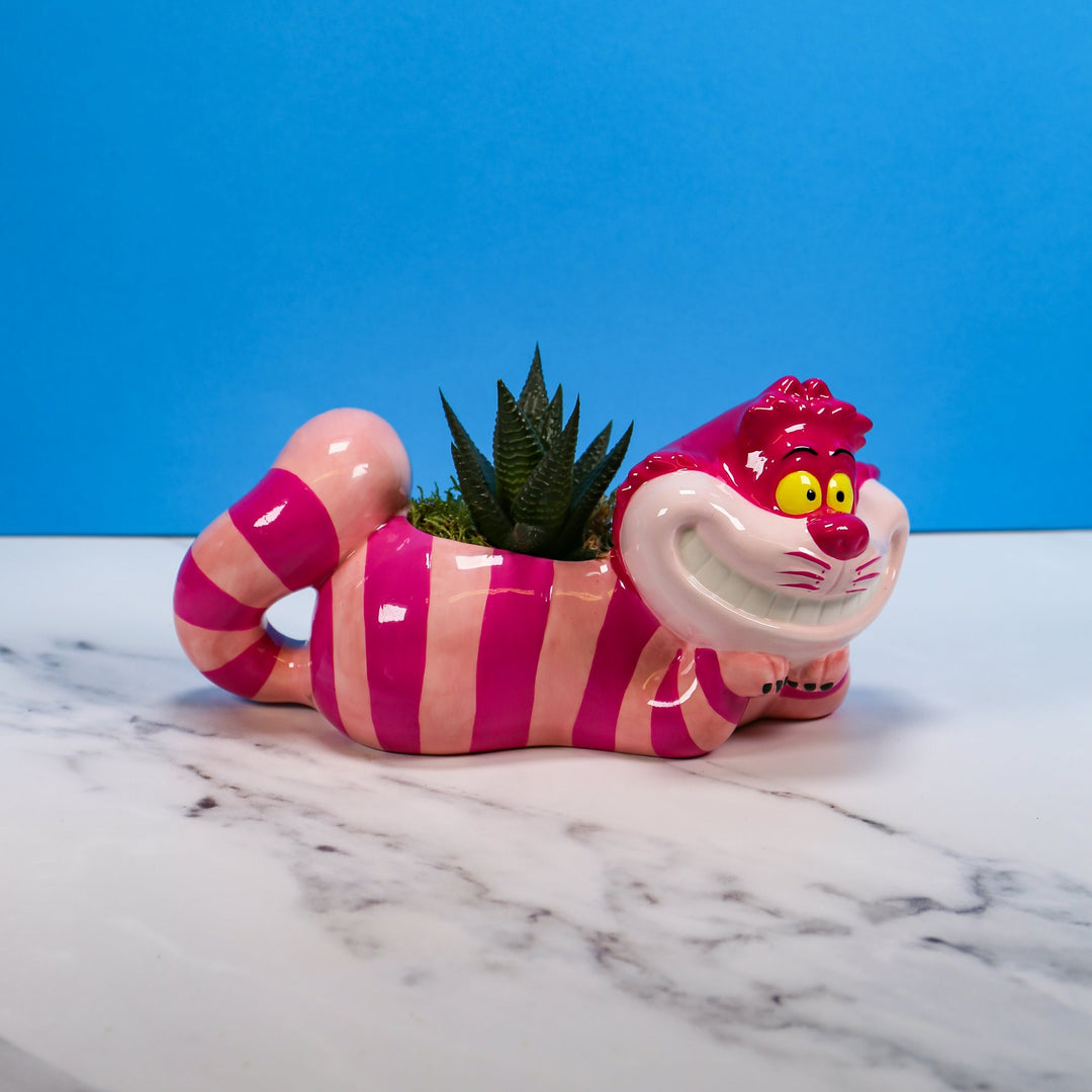 Disney Alice in Wonderland Plant Pot