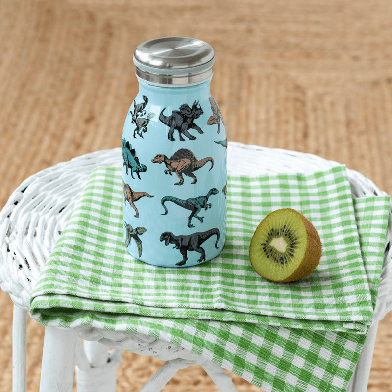 Stainless Steel Dinosaur Bottle 250ml