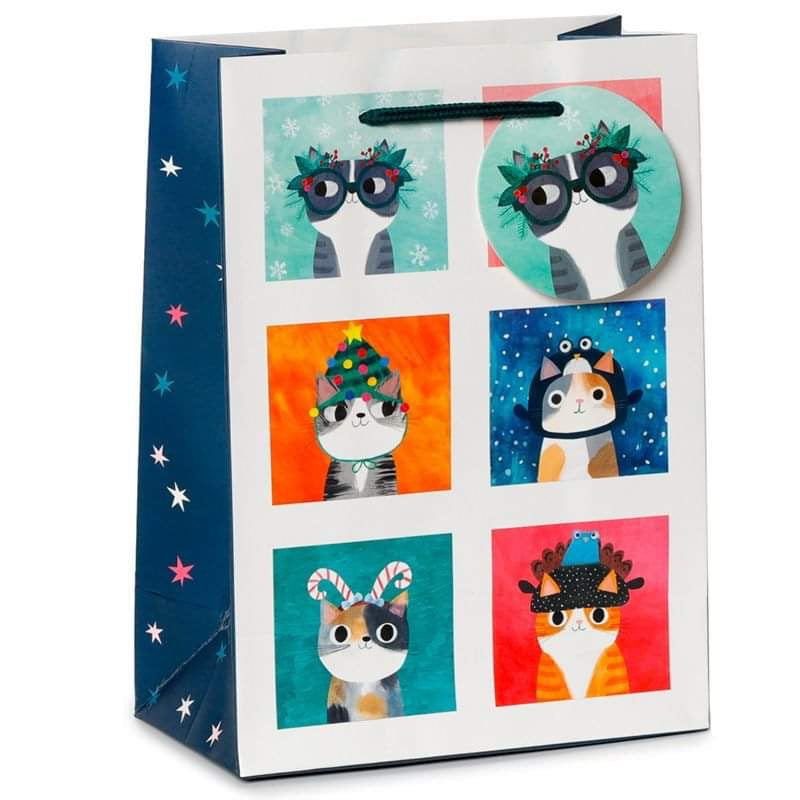 Cat Gift Bag - Medium