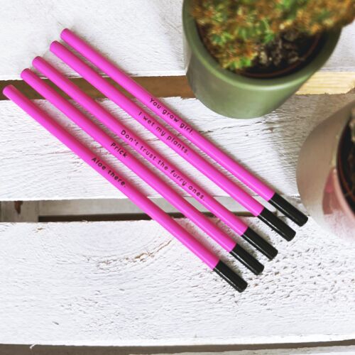 Cheeky Cactus Themed Pencils (Set 5)