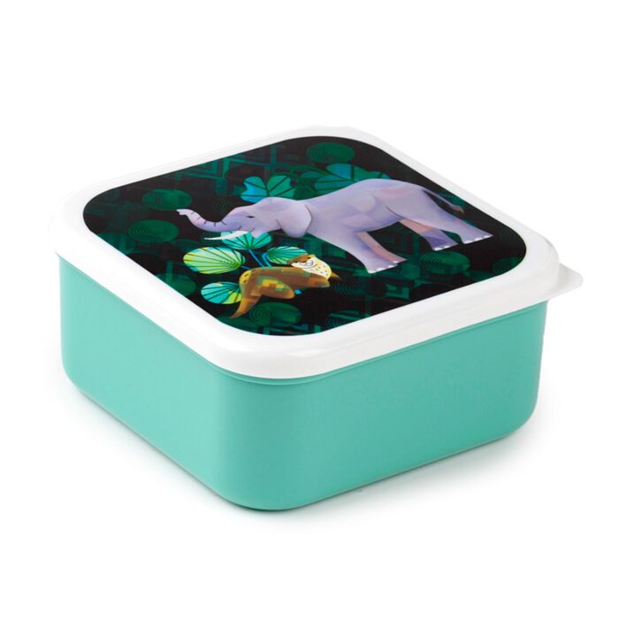 Animal Kingdom Lunch Boxes- Set of 3