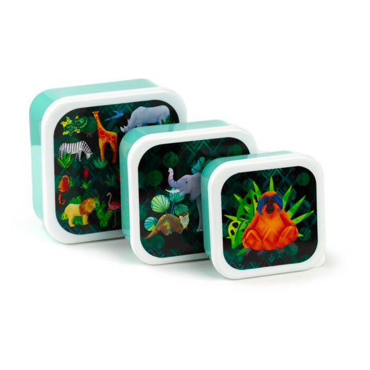 Animal Kingdom Lunch Boxes- Set of 3