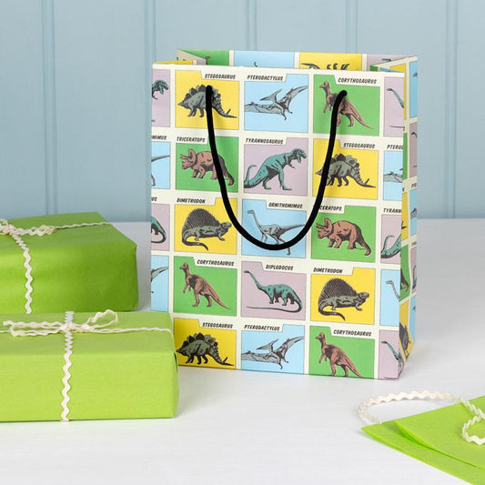 Dinosaur Gift Bag (Choice Of Size)
