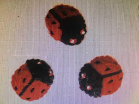 Dimensions Set of 3 Felted Ladybirds 1.5" length 100% Wool