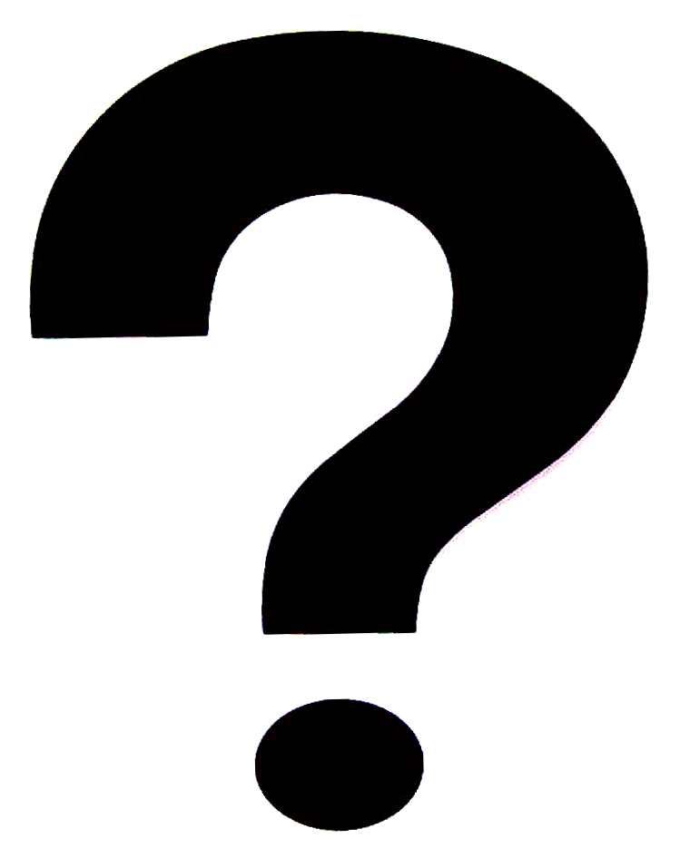 Dark Forest Mystery Box
