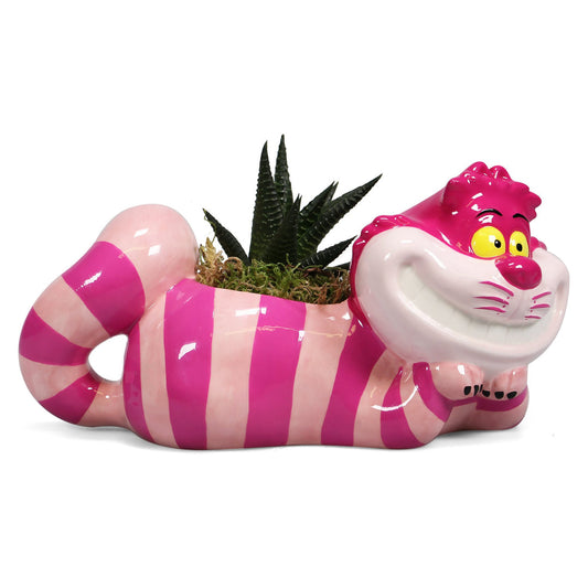 Disney Alice in Wonderland Plant Pot