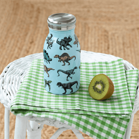 Stainless Steel Dinosaur Bottle 250ml
