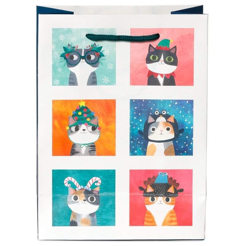 Cat Gift Bag - Medium