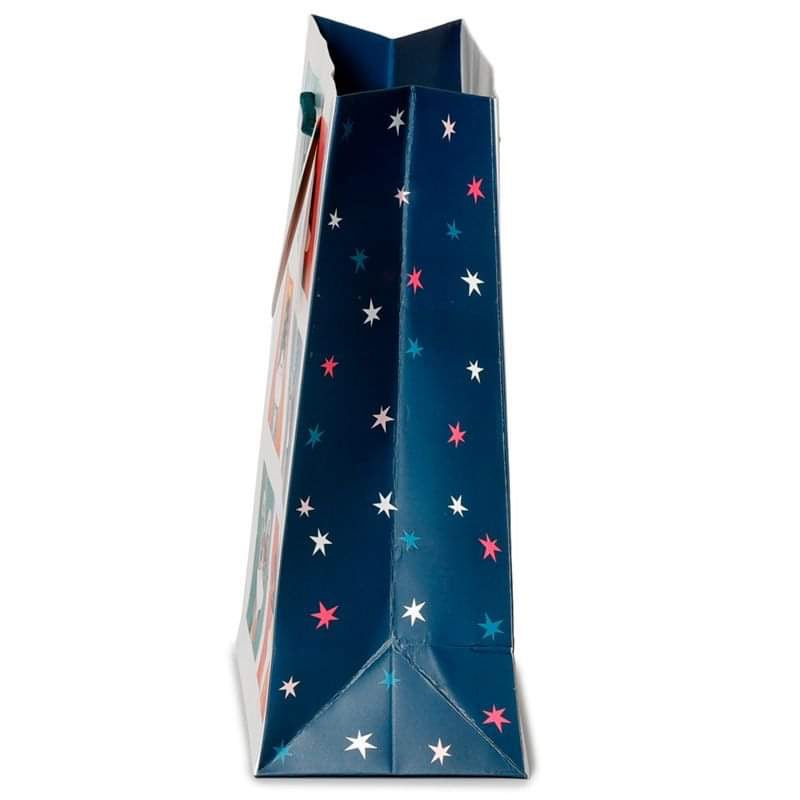 Cat Gift Bag - Medium