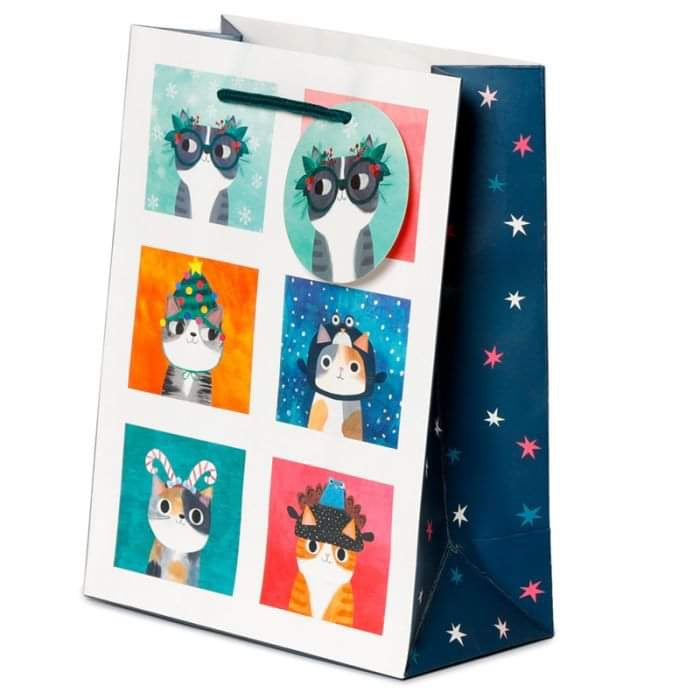 Cat Gift Bag - Medium