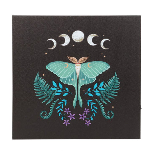luna moth led canvas wall plaque shown front view with mystical illuminated design