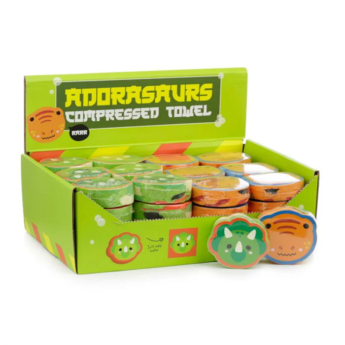 Mystery Box 'Dinosaurs'