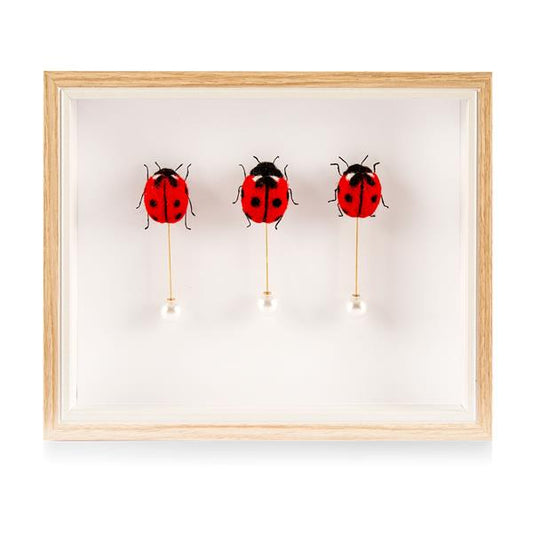 felted ladybirds used in handmade artwork example showing decorative craft application
