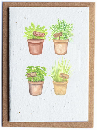 Plantable Seed Card Herbs